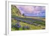 Vik 3pm, Summer in Iceland, Southern Coast Wildflowers-Vincent James-Framed Photographic Print