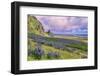 Vik 3pm, Summer in Iceland, Southern Coast Wildflowers-Vincent James-Framed Premium Photographic Print