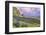 Vik 3pm, Summer in Iceland, Southern Coast Wildflowers-Vincent James-Framed Photographic Print