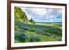 Vik 3pm, Summer Wildflowers on the Coast of Southern Iceland-Vincent James-Framed Photographic Print