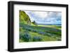 Vik 3pm, Summer Wildflowers on the Coast of Southern Iceland-Vincent James-Framed Photographic Print