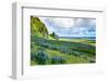 Vik 3pm, Summer Wildflowers on the Coast of Southern Iceland-Vincent James-Framed Photographic Print