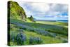 Vik 3pm, Summer Wildflowers on the Coast of Southern Iceland-Vincent James-Stretched Canvas