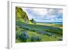 Vik 3pm, Summer Wildflowers on the Coast of Southern Iceland-Vincent James-Framed Photographic Print