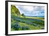 Vik 3pm, Summer Wildflowers on the Coast of Southern Iceland-Vincent James-Framed Photographic Print