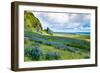 Vik 3pm, Summer Wildflowers on the Coast of Southern Iceland-Vincent James-Framed Photographic Print