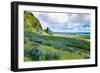 Vik 3pm, Summer Wildflowers on the Coast of Southern Iceland-Vincent James-Framed Photographic Print