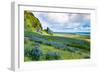 Vik 3pm, Summer Wildflowers on the Coast of Southern Iceland-Vincent James-Framed Photographic Print