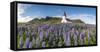 Vik i Myrdal, Southern Iceland. Fields of lupins in bloom and the town church.-Marco Bottigelli-Framed Stretched Canvas