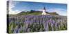 Vik i Myrdal, Southern Iceland. Fields of lupins in bloom and the town church.-Marco Bottigelli-Stretched Canvas