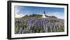 Vik i Myrdal, Southern Iceland. Fields of lupins in bloom and the town church.-Marco Bottigelli-Framed Photographic Print