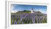 Vik i Myrdal, Southern Iceland. Fields of lupins in bloom and the town church.-Marco Bottigelli-Framed Photographic Print