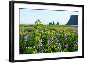 Vik, in the Background the Rock Needles Reynisdrangar-Catharina Lux-Framed Photographic Print