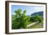 Vik, in the Background the Rock Needles Reynisdrangar-Catharina Lux-Framed Photographic Print