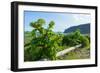 Vik, in the Background the Rock Needles Reynisdrangar-Catharina Lux-Framed Photographic Print