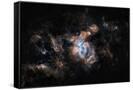 Canvas Black