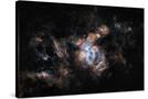 Stretched Canvas