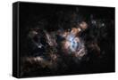 Canvas Black