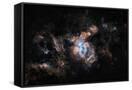 Canvas Black