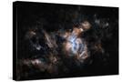 Stretched Canvas