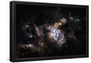 Essential Black