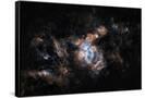 Canvas Black