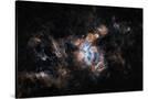 Stretched Canvas