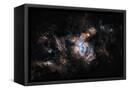 Canvas Black