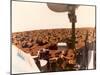 Viking 1 on the Martian Surface on July 24, 1976-null-Mounted Photo