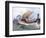 Viking Boat in Transit Towards Normandy, Watercolor, 19th Century-null-Framed Premium Giclee Print