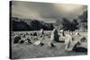 Viking Burial Ground, Lindholm Hoje, Aalborg-Lindholm, Jutland, Denmark-null-Stretched Canvas