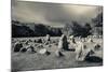 Viking Burial Ground, Lindholm Hoje, Aalborg-Lindholm, Jutland, Denmark-null-Mounted Photographic Print