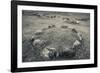 Viking Burial Ground, Lindholm Hoje, Aalborg-Lindholm, Jutland, Denmark-null-Framed Photographic Print