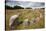 Viking Burial Ground with Stones Placed in Oval Outline of a Viking Ship-Stuart Black-Stretched Canvas