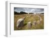 Viking Burial Ground with Stones Placed in Oval Outline of a Viking Ship-Stuart Black-Framed Photographic Print