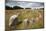 Viking Burial Ground with Stones Placed in Oval Outline of a Viking Ship-Stuart Black-Mounted Photographic Print