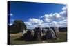 Viking Cemetery in Jaettertrup, Denmark, Viking Civilization-null-Stretched Canvas