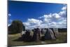 Viking Cemetery in Jaettertrup, Denmark, Viking Civilization-null-Mounted Giclee Print