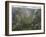 Vikos Gorge, Zagoria Mountains, Epiros, Greece, Europe-Rolf Richardson-Framed Photographic Print