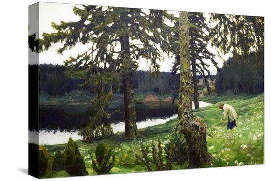 Stretched Canvas Print, , large