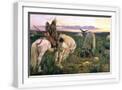 White Frame
