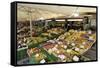 Viktualienmarkt, Food Market, Munich (Munchen), Bavaria (Bayern), Germany-Gary Cook-Framed Stretched Canvas