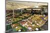 Viktualienmarkt, Food Market, Munich (Munchen), Bavaria (Bayern), Germany-Gary Cook-Mounted Photographic Print