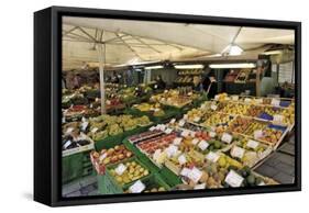 Viktualienmarkt, Food Market, Munich (Munchen), Bavaria (Bayern), Germany-Gary Cook-Framed Stretched Canvas