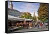 Viktualienmarkt, Food Market, Munich (Munchen), Bavaria (Bayern), Germany-Gary Cook-Framed Stretched Canvas