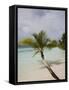 Vilamendhoo Island, Ari Atoll, Maldives, Indian Ocean-Angelo Cavalli-Framed Stretched Canvas