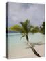 Vilamendhoo Island, Ari Atoll, Maldives, Indian Ocean-Angelo Cavalli-Stretched Canvas