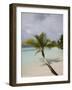 Vilamendhoo Island, Ari Atoll, Maldives, Indian Ocean-Angelo Cavalli-Framed Photographic Print