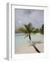 Vilamendhoo Island, Ari Atoll, Maldives, Indian Ocean-Angelo Cavalli-Framed Photographic Print