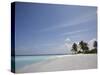 Vilamendhoo Island, Ari Atoll, Maldives, Indian Ocean-Angelo Cavalli-Stretched Canvas